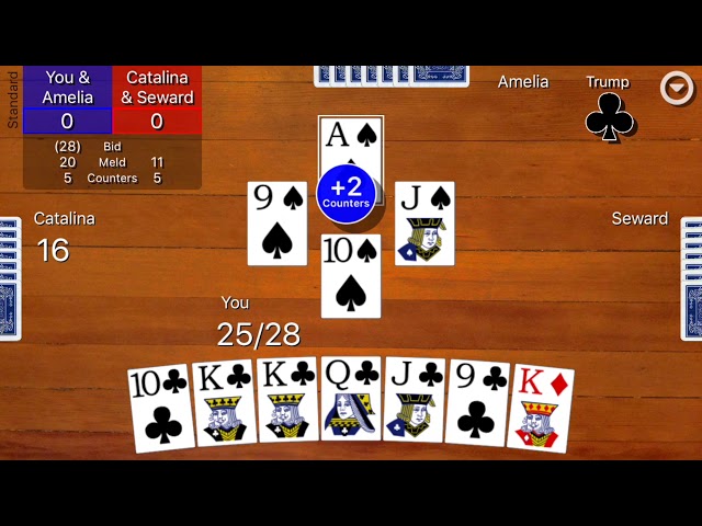 pinochle deck vs regular deck pinochle deck vs regular deck