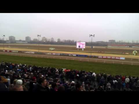 Ügetőszilveszter 2013 Kincsem park