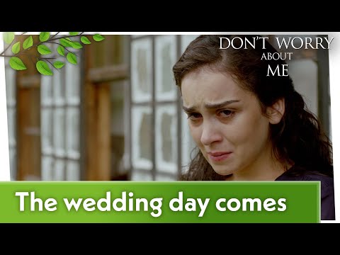 The wedding day comes - Don't Worry About Me Short Scenes
