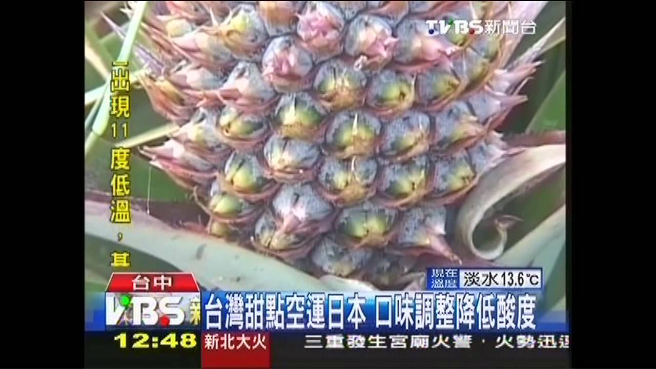 台灣鳳梨酥攻日　「微熱山丘」東京開賣