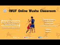Sanda Basic Techniques Wrestling Basics 2