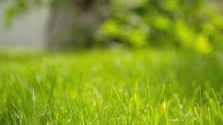 Building plot for sale 40 minutes from Warsaw. Real estate agency Warsaw GOESTE