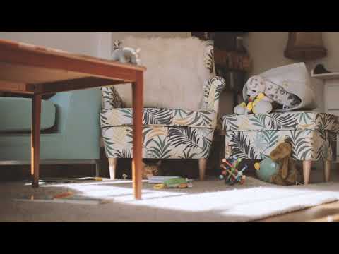 Koniro (tidligere Taffelpikene): Eirik Hegdal -  Playing with toys