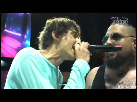 Mcklopedia Vs lobo estepario.... La gran FMS