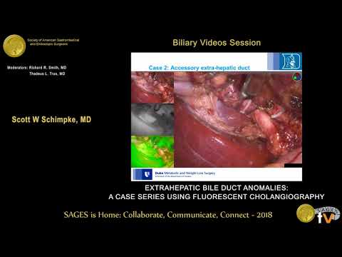 Extrahepatic bile duct anomalies: A case series using fluorescent cholangiography from the SAGES Video Library