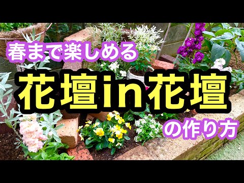 秋に咲く球根 植物 春に生き残る 夏に定期的な水やり