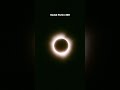 The Solar Eclipse On Kodak Portra 400 Negative Vs Scans