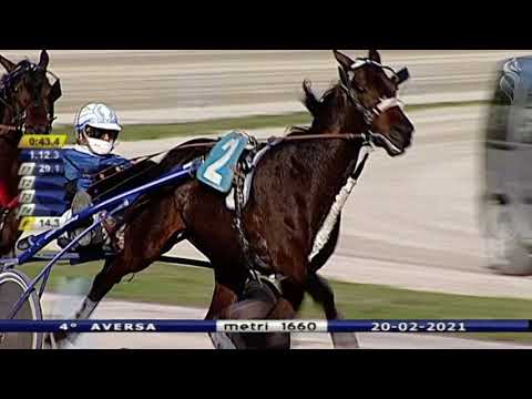 Aversa trotto 20 Febbraio 2021 - 4° Corsa