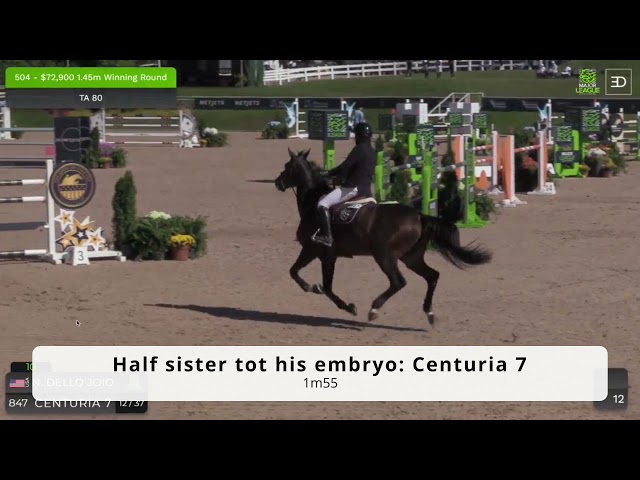 Embryo Diamant de Semilly x Cornet Obolensky