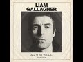 Liam%20Gallagher%20-%20When%20I%27m%20In%20Need