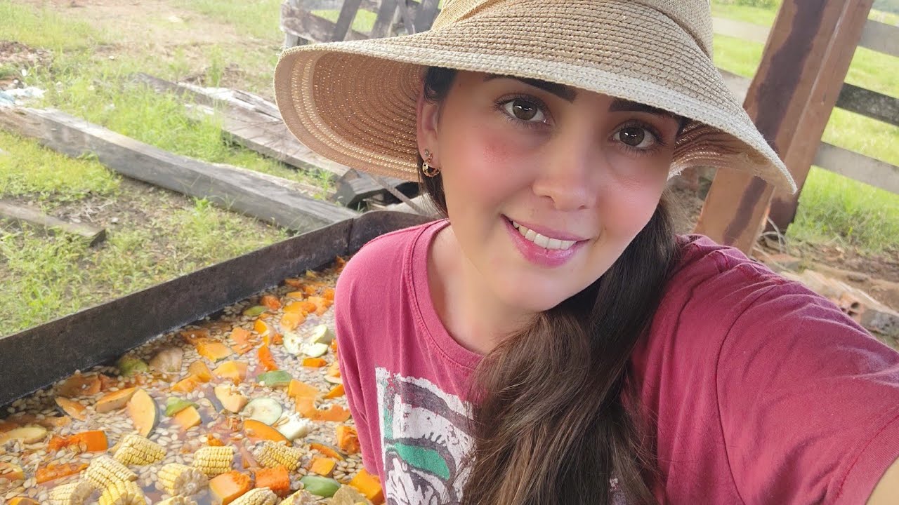 Como criar PORCO com BAIXO CUSTO!