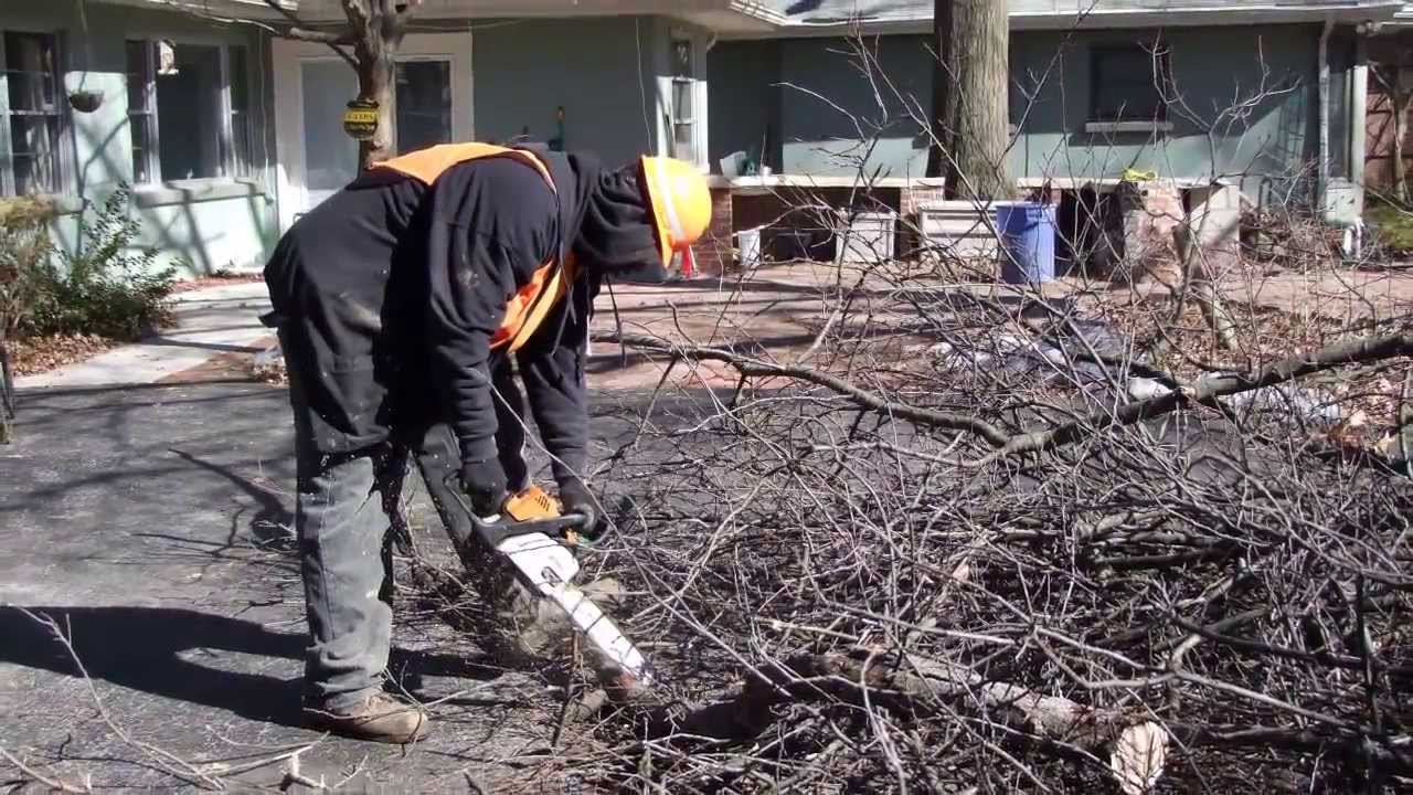 diocese of columbus st patricks day