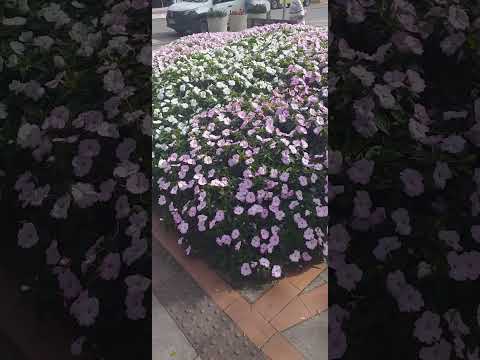 um recado de Deus nessa praça de Marechal  floreano no ES naturesa com a máo de Deus