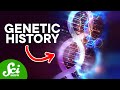 Can Your Environment Affect Your DNA Epigenetics Explained