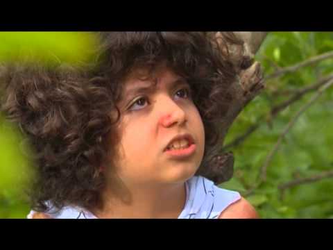 Tek  olanda  qorxma  -  ANONS