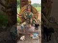 Kadavulum Neeyum Our Thai Pillai Ilayaraja Straydogs Savestrays