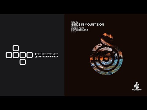 PREMIERE: NAHS - Birds in Mount Zion (Matias Chilano Remix) [Soundteller Records]