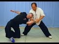 Tai Chi Fighting Taijiquan Martial Applications Yang Style 37 Postures YMAA
