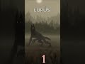 ESCOLHA QUAL LOBISOMEM VAI TE PROTEGER Luacheia Lobisomem Horrorstories Faelportinari