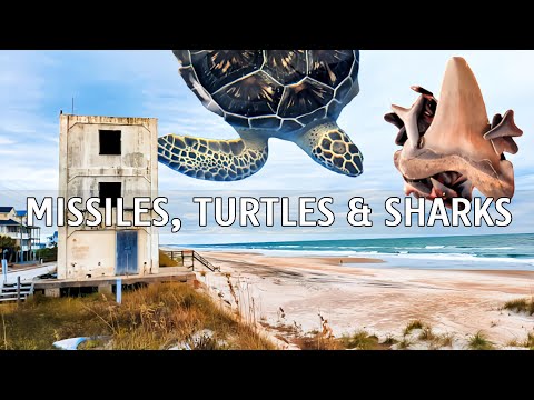 NORTH CAROLINA: Topsail Island and Surf City - Hidden Gems in North Carolina | Sea Turtles Hospital
