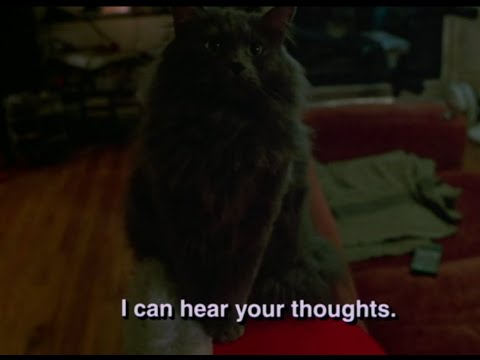Go (1999) Cat telepathy scene
