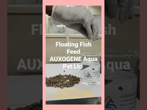 Pellets floating fish feed, packaging size: 40 kg
