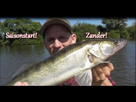 Start in die Raubfischsaison! / Auf Zander am Fluss #1 / Livebiss!