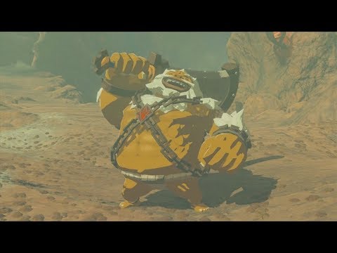 TLoZ: Breath of the Wild (Wii U) - DLC - EX Champion Daruk's Song (4/5) - Boss: Fireblight Ganon