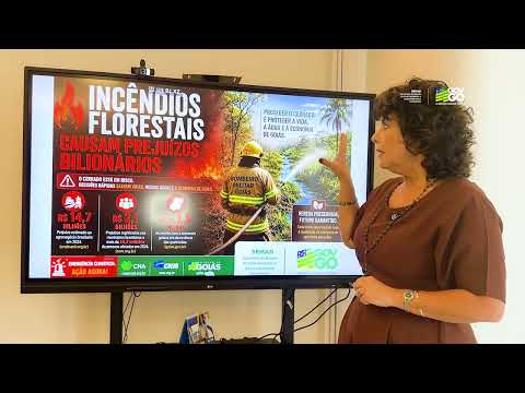 Super El Niño em Goiás - secretária Andréa Vulcanis explica cenário