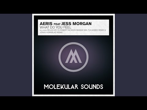 What Do You Feel? (Re:Locate Vs. Robert Nickson Banging Remix)