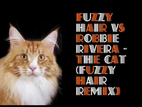 Fuzzy Hair Vs Robbie Rivera - The Cat (Fuzzy Hair Remix)