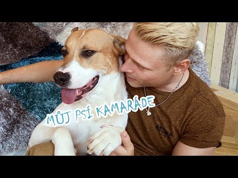 Jarek Šimek - Můj psí kamaráde (Oficiální hudební video)