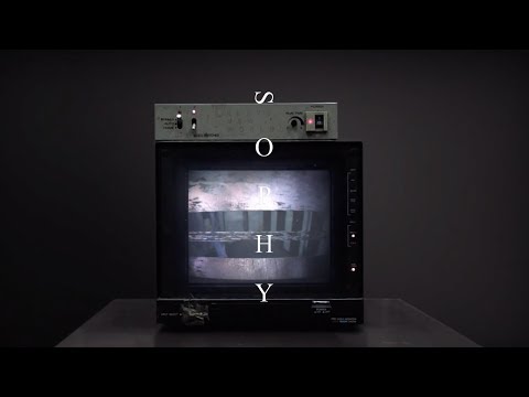 SOPHY 王嘉儀 -  Brave New World 美麗新世界 (Lyrics MV)