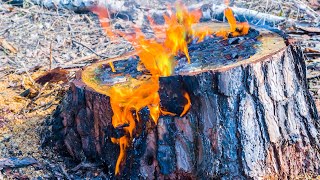 Watch This Before Attempting To Burn Away That Tree Stump
