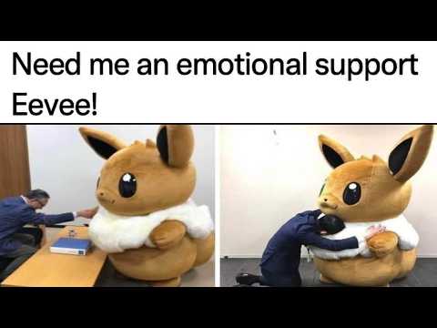 Pokemon Memes