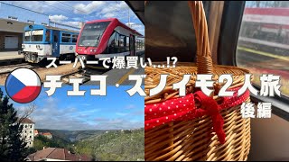 【後編】物価の安いチェコ・ズノイモのスーパーで爆買い!のんびり二人旅&購入品紹介