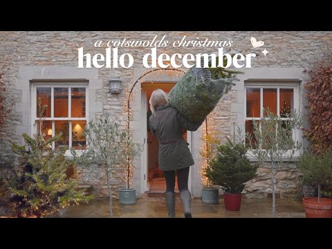 hello december: christmas in my cotswolds cottage 🎄🪵
