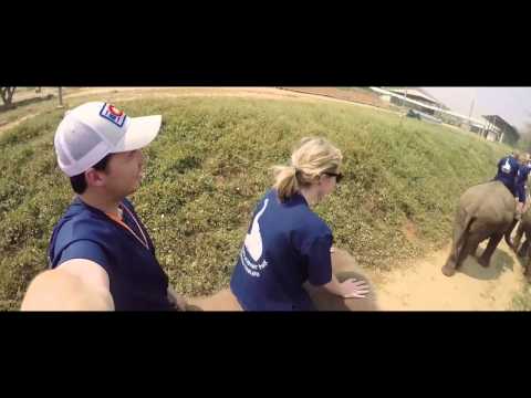 Eurypharynx (Blugazer Remix) - Lessov