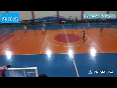 Pelezinho 4 X 1 Chelsea 