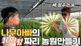 나무아빠의 제자 키우기/ 부산 최대 침엽수 농장 컨설팅 후기!! / 호스타 / 수국/ 에메랄드그린/ 귀농귀촌…