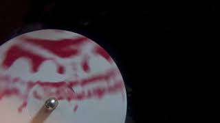 Wolfgang Voigt-Nachschub (Auftrieb 5)