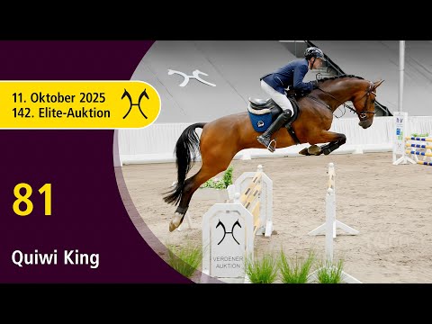 No. 81 Quiwi King by Quiwi Dream - Diarado | 142nd Verden Elite Auction, October 11