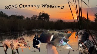 Smacking Ducks on State Land (Michigan Opener 2025)