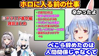 【ホロテラリア番外編（雑談メイン）】ポケモンの新作タイトル大喜利＋薬局で自分の変な声＋ガンダムオススメ＋直哉が上手いフブヤなど【ホロライブ切り抜き/兎田ぺこら/白上フブキ/白銀ノエル】