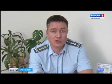 Управление Россельхознадзора контролирует экспорт животноводческой продукции c территории Республики Калмыкия