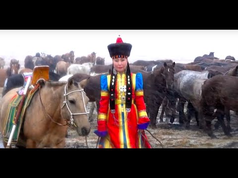 Жаран цагаан адуу | Kongurei | Клип