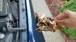 bmw can spontaneously catch fire even with no key in ignition get it checked bmw repair for free plu