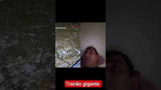 #pescaria #pescasub #pesca #pescacombambu #fishing #peixesamazonicos #pescaesportiva