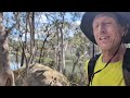 Buffalo Stampede 100km Ultra
