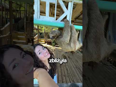 Urocze zwierzę 🐾